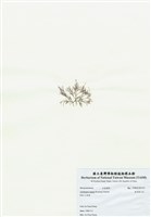 藏品(匍匐擬石花)的圖片
